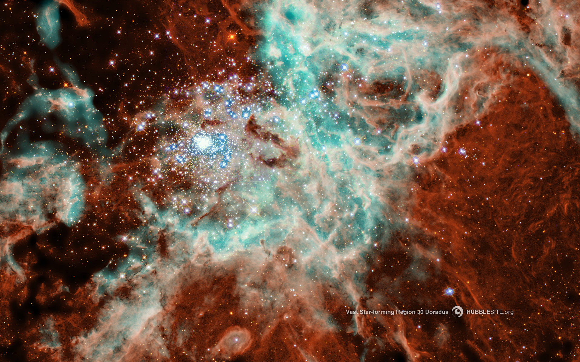 THE CREATOR'S HANDIWORK